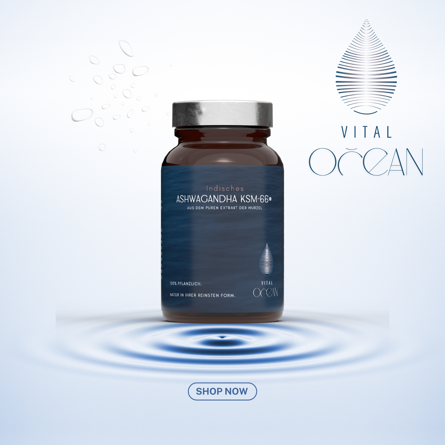 Ashwagandha KSM-66 vegane Kapseln von Vital Ocean