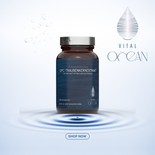 OPC-Traubenkernextrakt vegane Kapseln von Vital Ocean