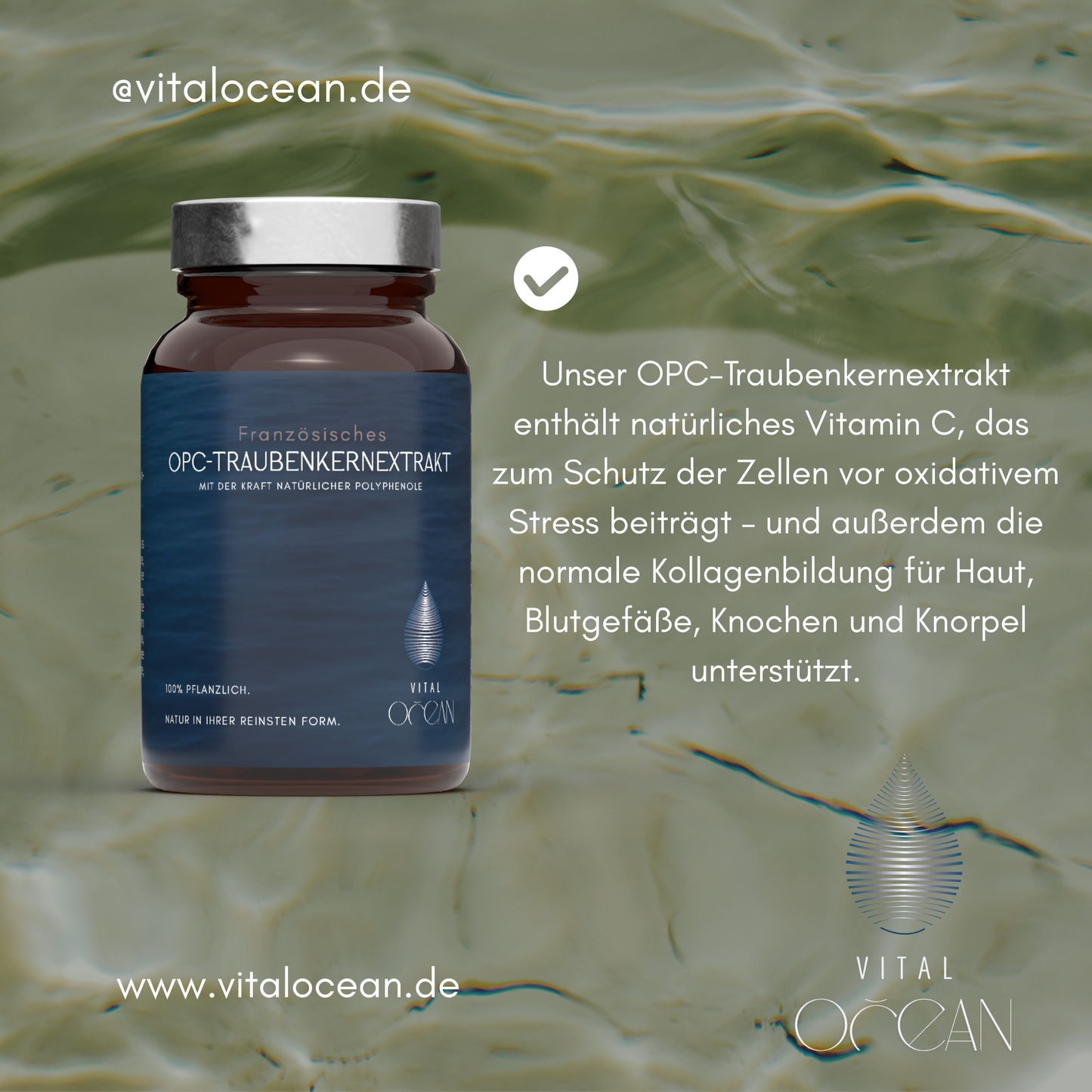 OPC Traubenkernextrakt vegan von Vital Ocean
