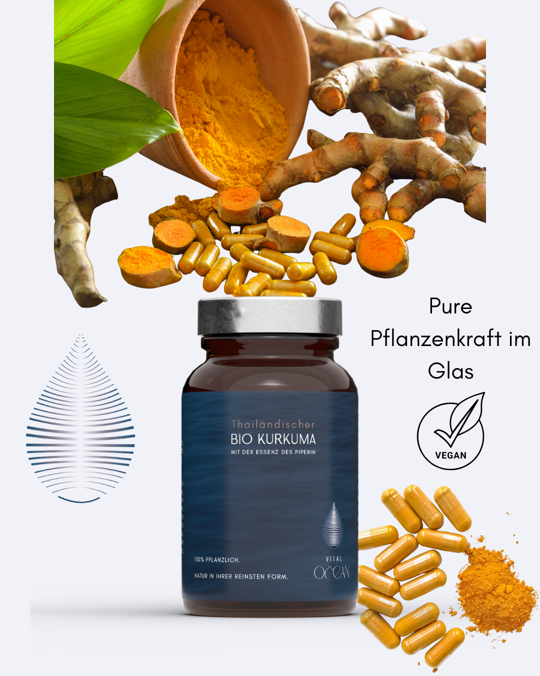Pflanzenkraft Kurkuma-Bio und vegan
